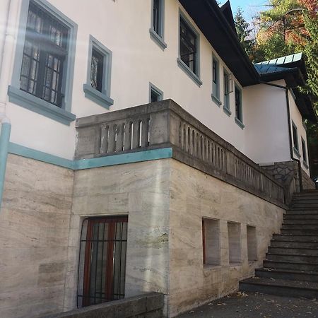 Hotel Tantzi Sinaia Zewnętrze zdjęcie