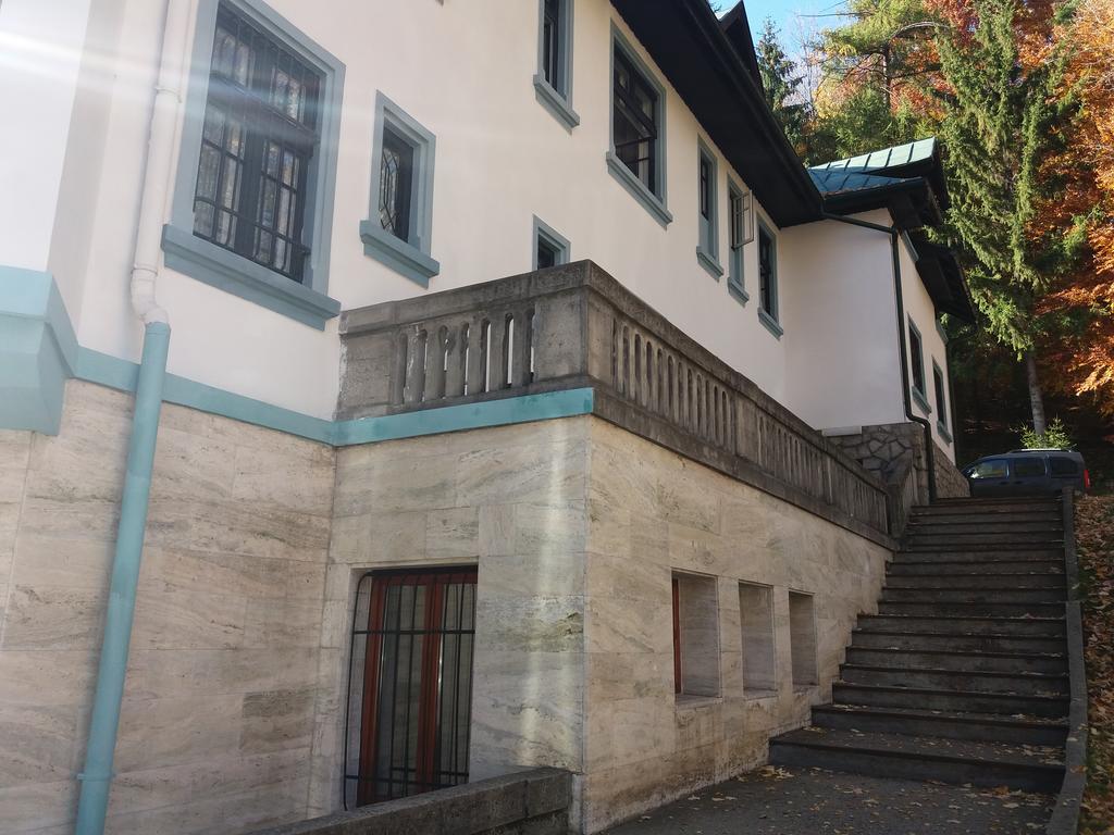 Hotel Tantzi Sinaia Zewnętrze zdjęcie