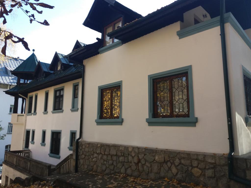 Hotel Tantzi Sinaia Zewnętrze zdjęcie